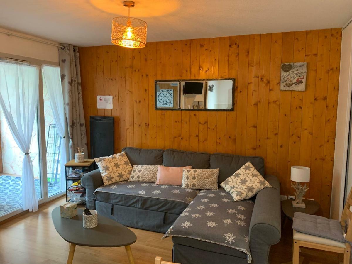 Appartement Tt Confort Au Coeur Des Montagnes Avec Vue Sur Les Montagnes Wifi Люс-Сен-Совёр Экстерьер фото